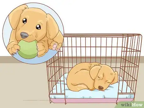 Image intitulée Stop a Puppy from Barking Step 15