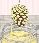 préserver des pommes de pin