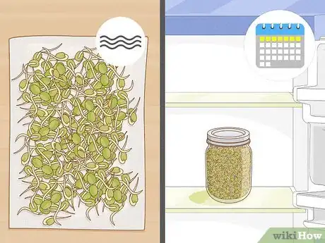 Image intitulée Grow Sprouts Step 14