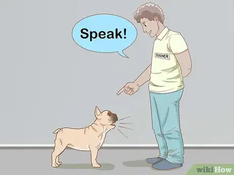 Image intitulée Stop a Puppy from Barking Step 14