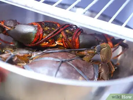 Image intitulée Prepare Crabs Step 7