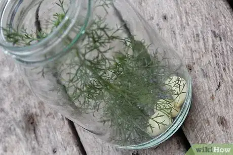 Image intitulée Make Crispy Dill Pickles Step 7
