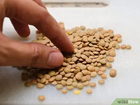 Image intitulée Make Lentil Soup Step 1