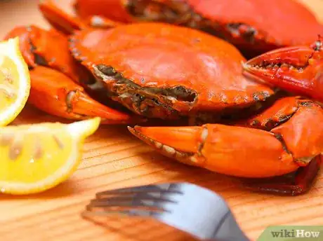 Image intitulée Prepare Crabs Step 6
