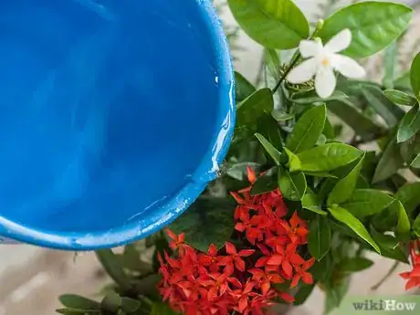 Image intitulée Make Floral Craft Arrangements Step 11