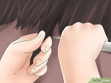 Image intitulée Braid a Horse's Mane Step 1