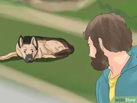 Image intitulée Rehabilitate an Overly Shy Dog Step 15