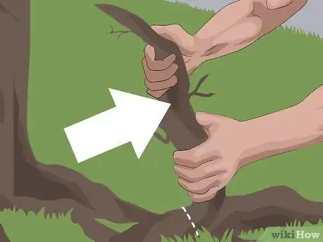 Image intitulée Dig up Tree Roots Step 9