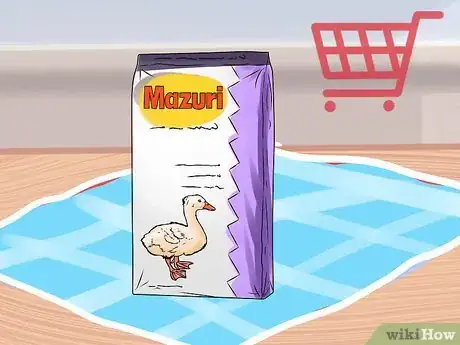 Image intitulée Care for a Pet Duck Step 6