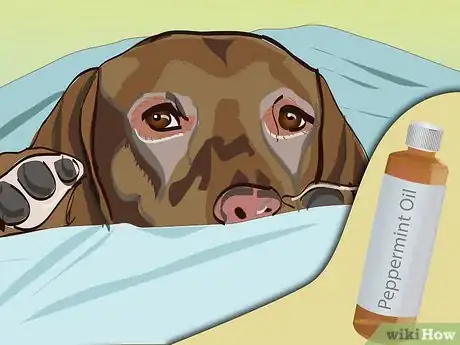 Image intitulée Control Fleas by Using Peppermint Step 7