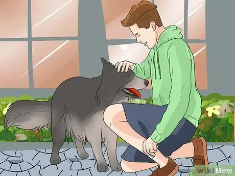 Image intitulée Rehabilitate an Overly Shy Dog Step 14
