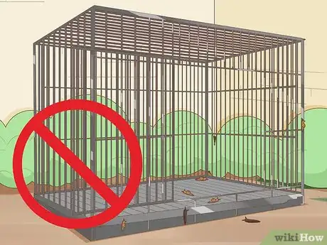 Image intitulée Prevent Worms in Dogs Step 6