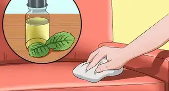 éduquer un chaton