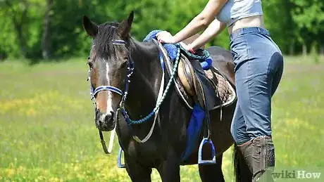 Image intitulée Mount a Horse Step 4