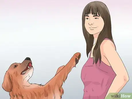 Image intitulée Rehabilitate an Overly Shy Dog Step 13