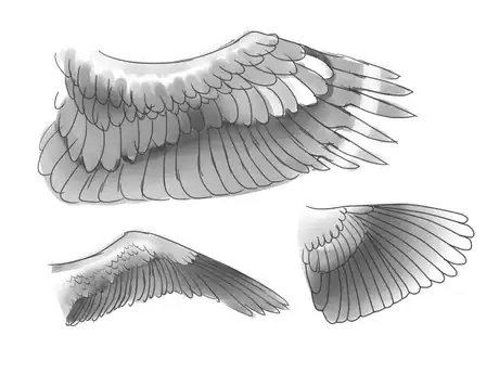 Image intitulée Eaglewing5.png