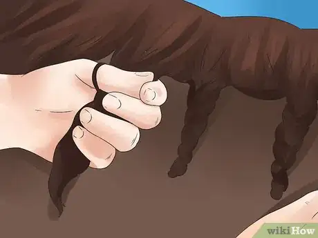 Image intitulée Braid a Horse's Mane Step 8