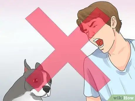 Image intitulée Rehabilitate an Overly Shy Dog Step 10
