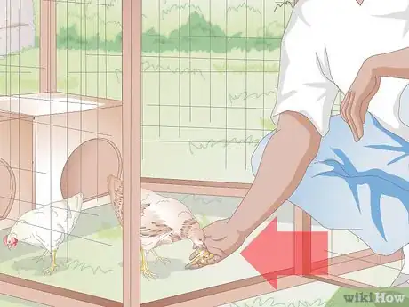 Image intitulée Look After Baby Chicks Step 13