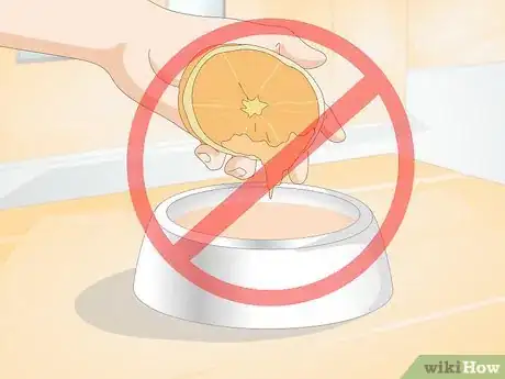 Image intitulée Prevent UTI in Dogs Step 4