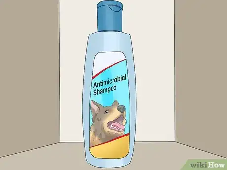 Image intitulée Treat Folliculitis in Dogs Step 5
