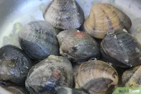 Image intitulée Cook Clams Step 3Bullet1