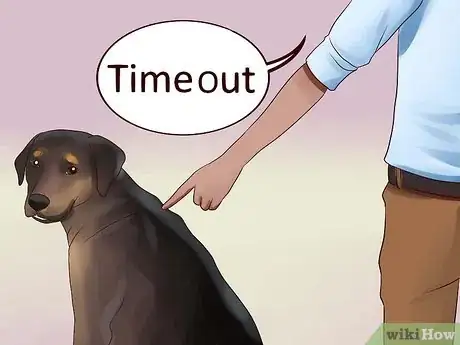 Image intitulée Keep Your Dog from Chasing Cats Step 21