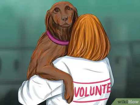 Image intitulée Work at an NGO Step 7