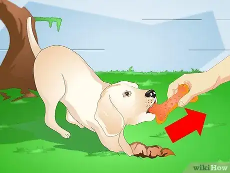 Image intitulée Make a Puppy Stop Digging Step 4