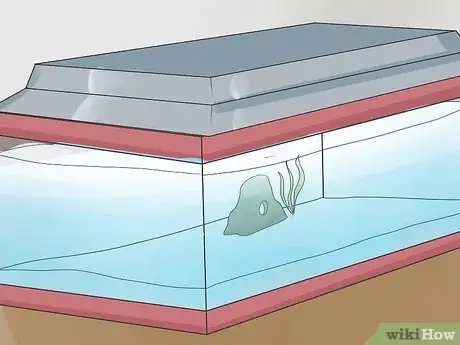 Image intitulée Look After Tropical Fish Step 5