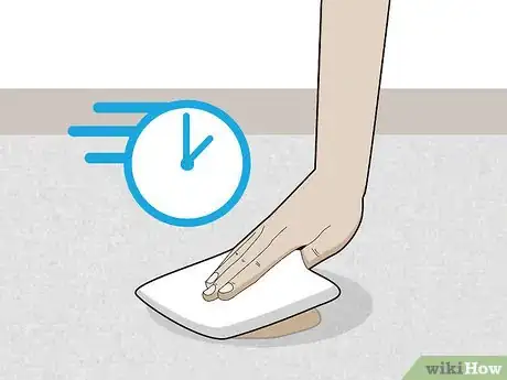 Image intitulée Clean Your Carpets Step 22