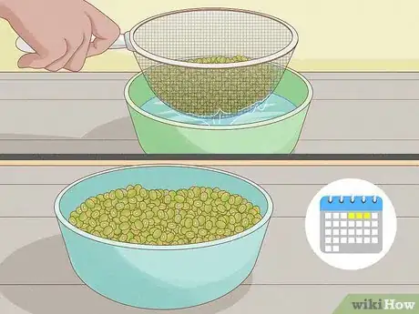 Image intitulée Grow Sprouts Step 13