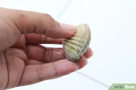 Image intitulée Cook Clams Step 7Bullet2