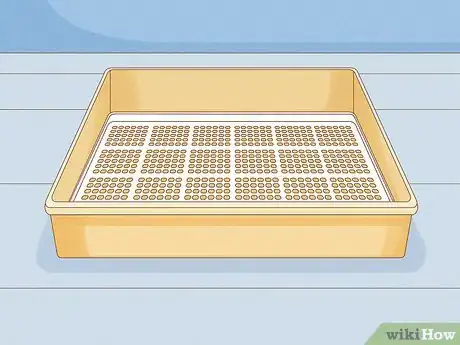 Image intitulée Grow Sprouts Step 20