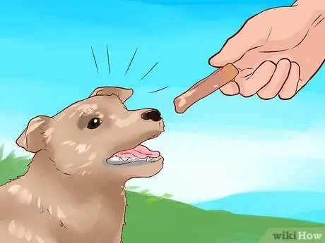 Image intitulée Love Your Dog Step 12