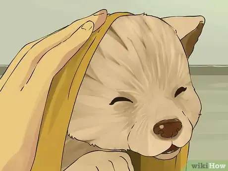 Image intitulée Give a Small Dog a Bath Step 15