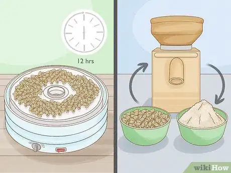 Image intitulée Grow Sprouts Step 18