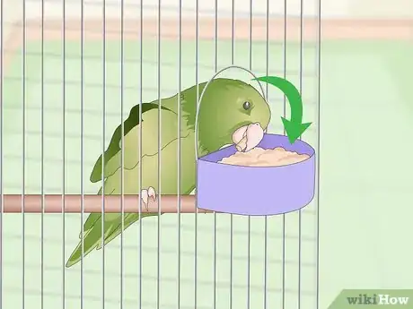Image intitulée Set Up a Parrotlet Cage Step 3