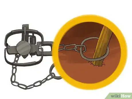 Image intitulée Trap a Beaver Step 13