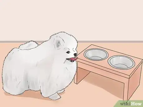 Image intitulée Control Arthritis Pain in Dogs Step 10