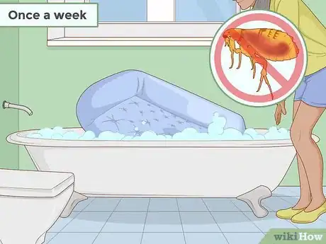 Image intitulée Prevent Worms in Dogs Step 1