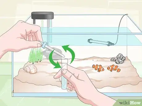 Image intitulée Cycle a Saltwater Tank Step 16