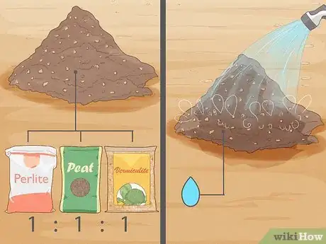 Image intitulée Grow Basil Step 3