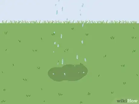 Image intitulée Bring Back Dead Grass Step 10