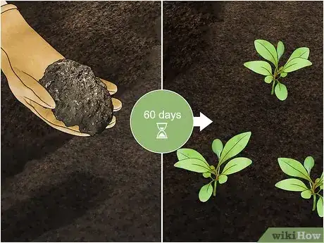 Image intitulée Increase Nitrogen in Soil Step 17