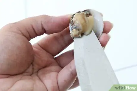 Image intitulée Cook Clams Step 7Bullet4