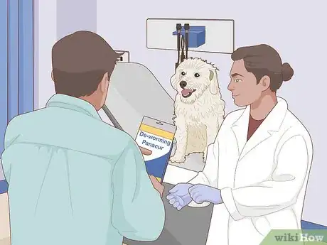 Image intitulée Prevent Worms in Dogs Step 9