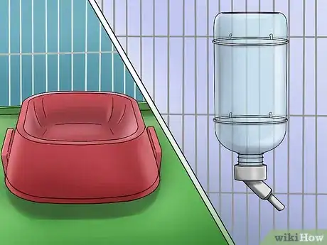 Image intitulée Care for a Ferret Step 9