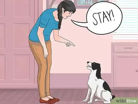 Image intitulée Keep a Jack Russell Terrier Happy Step 6