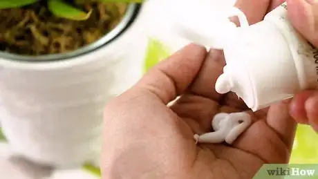 Image intitulée Make an Aloe Vera Face Mask Step 5